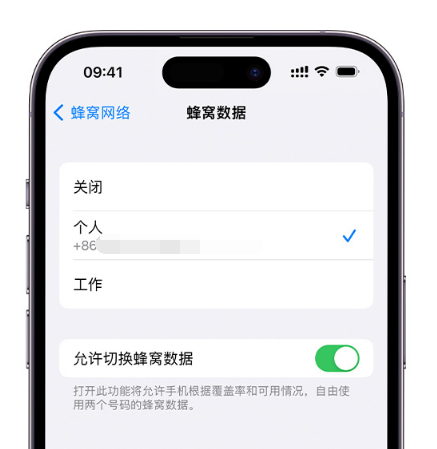 邕宁苹果维修服务分享如何在iPhone上使用双卡 