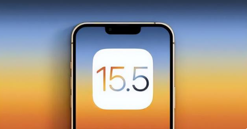 邕宁苹果手机维修分享iOS15.5 RC版升级建议 